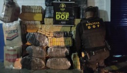DOF apreende 1026 kg de drogas durante operação está madrugada