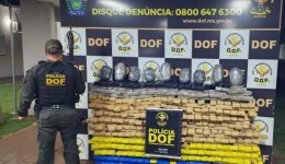 DOF apreende quase meia tonelada de drogas em terreno baldio no Jardim Água Boa