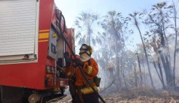 Com 6 focos ativos, incêndios no Pantanal de MS são intensificados