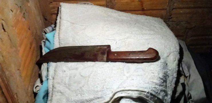 Acusado de matar mulher a golpes de faca e marteladas é preso