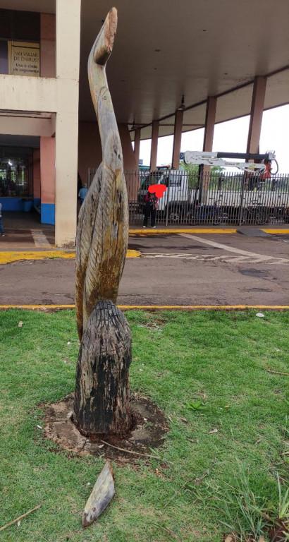 Venezuelano é preso pela Guarda Municipal depois de danificar estátua na rodoviária