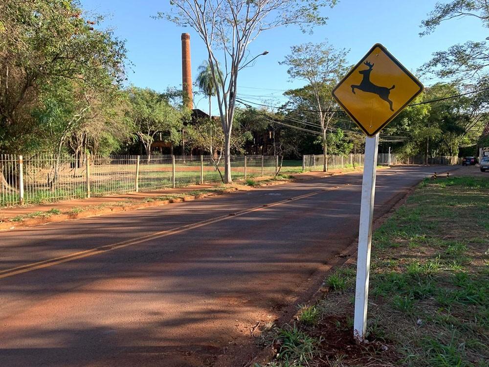 Mauricio é atendido com placas de alerta de presença de animais em vias próximas a parques e córregos